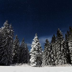 和新疆妇女做爰的感受
